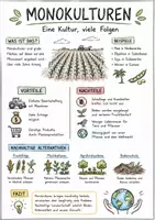 Vorschau - Arbeitsblätter - Lernposter + Arbeitsblätter zum Thema "Monokulturen" + Lösung & MP3 + Mindmap + Infografik - Seite 2