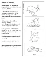 Vorschau - Stundenentwürfe - Feldhase interaktiv Lapbook - Seite 3