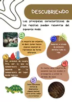 Vista previa - Fichas informativas / Documentos de lectura - Revista educativa 'Los reptiles' - página 2