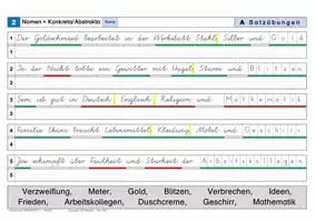 Vorschau - Arbeitsblätter - Lösungen zum Grammatiktraining Satzübungen zu den Nomen - Seite 3