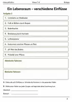 Vorschau - Arbeitsblätter - Basisscreening Anwenden und Problemlösen Klasse 7–8 - Seite 3