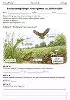 Vorschau - Arbeitsblätter - Basisscreening Biologie Nahrungsnetze Klasse 7–8 - Deckblatt