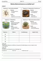 Vorschau - Arbeitsblätter - Basisscreening Biologie Angepasstheit Klasse 7–8 - Seite 3