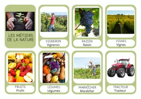 Aperçu - Affichage - Corpus de mots - Les métiers de la nature et vocabulaire associé - Page de couverture