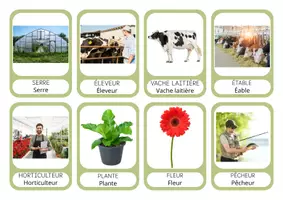 Aperçu - Affichage - Corpus de mots - Les métiers de la nature et vocabulaire associé - Page 1
