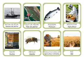 Aperçu - Affichage - Corpus de mots - Les métiers de la nature et vocabulaire associé - Page 2