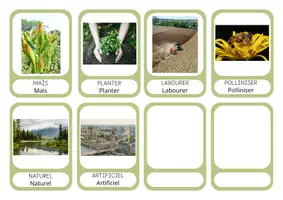 Aperçu - Affichage - Corpus de mots - Les métiers de la nature et vocabulaire associé - Page 3