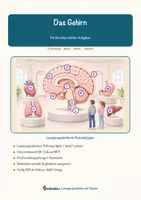 Vorschau - Mal- und Bastelvorlagen - Das Gehirn – Lesespurgeschichte mit Rätselaufgaben (Klasse 9) - Seite 1