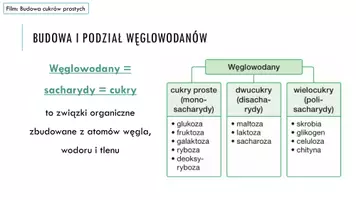 zapowiedź - Prezentacja - Węglowodany - budowa i znaczenie - strona 2