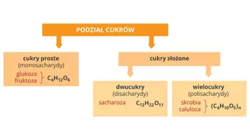zapowiedź - Prezentacja - Węglowodany - budowa i znaczenie - strona 3