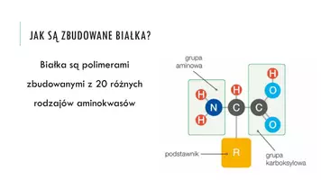 zapowiedź - Prezentacja - Białka - budulec życia - strona 2