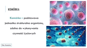 zapowiedź - Prezentacja - Budowa komórki eukariotycznej - strona 1