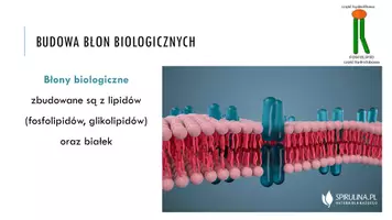 zapowiedź - Prezentacja - Budowa i znaczenie błon biologicznych - strona 3