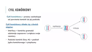 zapowiedź - Prezentacja - Cykl komórkowy - strona 2