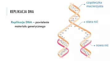 zapowiedź - Prezentacja - Cykl komórkowy - strona 3