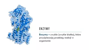 zapowiedź - Prezentacja - Budowa i działanie enzymów - strona 1