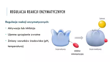zapowiedź - Prezentacja - Regulacja aktywności enzymów - strona 1