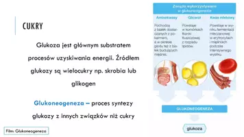 zapowiedź - Prezentacja - Inne procesy metaboliczne - strona 3