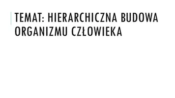 zapowiedź - Prezentacja - Hierarchiczna budowa - obwoluta
