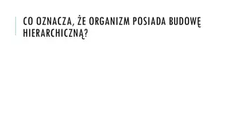 zapowiedź - Prezentacja - Hierarchiczna budowa - strona 2