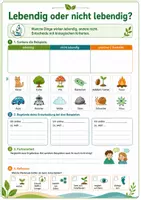 Vorschau - Arbeitsblätter - Kennzeichen des Lebendigen – Grundlagen der Biologie - Seite 3