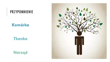 zapowiedź - Prezentacja - Tkanki - nabłonkowa - strona 2