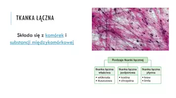 zapowiedź - Prezentacja - Tkanka łączna - strona 2