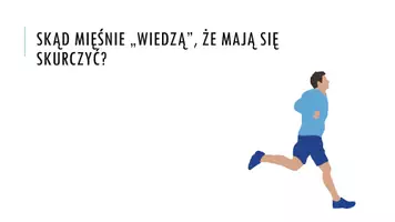 zapowiedź - Prezentacja - Budowa i funkcjonowanie mięśni szkieletowych - strona 2
