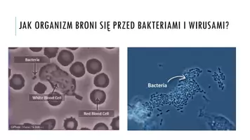 zapowiedź - Prezentacja - Układ limfatyczny - strona 2