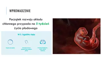 zapowiedź - Prezentacja - Układ limfatyczny - strona 3