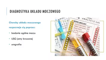 zapowiedź - Prezentacja - Choroby układu moczowego - strona 2