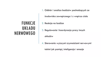 zapowiedź - Prezentacja - Budowa i działanie układu nerwowego - strona 3
