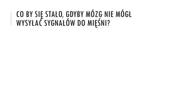 zapowiedź - Prezentacja - Ośrodkowy układ nerwowy - strona 1