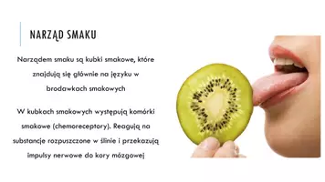 zapowiedź - Prezentacja - Narządy smaku oraz węchu - strona 3