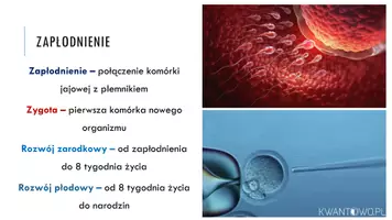 zapowiedź - Prezentacja - Rozwój człowieka - strona 3