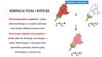zapowiedź - Prezentacja - Inne sposoby dziedziczenia cech - strona 3