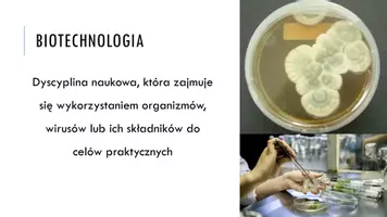 zapowiedź - Prezentacja - Biotechnologia tradycyjna - strona 2