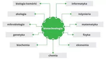 zapowiedź - Prezentacja - Biotechnologia tradycyjna - strona 3