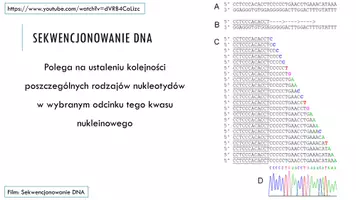 zapowiedź - Prezentacja - Podstawowe techniki inżynierii genetycznej - strona 3