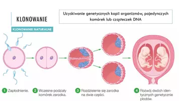 zapowiedź - Prezentacja - Biotechnologia molekularna - szanse i zagrożenia - strona 2