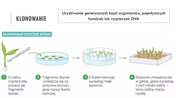 zapowiedź - Prezentacja - Biotechnologia molekularna - szanse i zagrożenia - strona 3