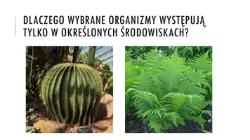 zapowiedź - Prezentacja - Organizm w środowisku - strona 1