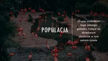 zapowiedź - Prezentacja - Cechy populacji - strona 2