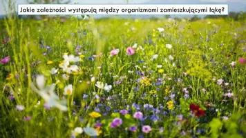 zapowiedź - Prezentacja - Rodzaje oddziaływań między organizmami - strona 1