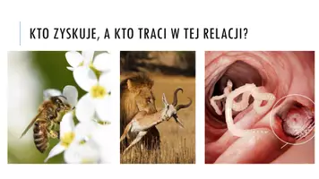 zapowiedź - Prezentacja - Rodzaje oddziaływań między organizmami - strona 2