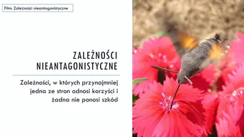 zapowiedź - Prezentacja - Rodzaje oddziaływań między organizmami - strona 3