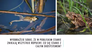 zapowiedź - Prezentacja - Funkcjonowanie ekosystemu - strona 1