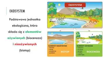 zapowiedź - Prezentacja - Funkcjonowanie ekosystemu - strona 2