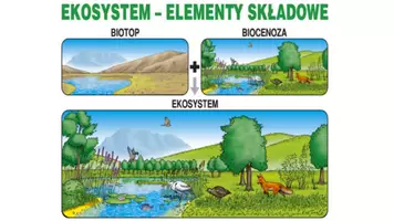 zapowiedź - Prezentacja - Funkcjonowanie ekosystemu - strona 3