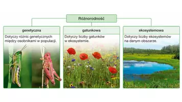 zapowiedź - Prezentacja - Czym jest różnorodność biologiczna - strona 3